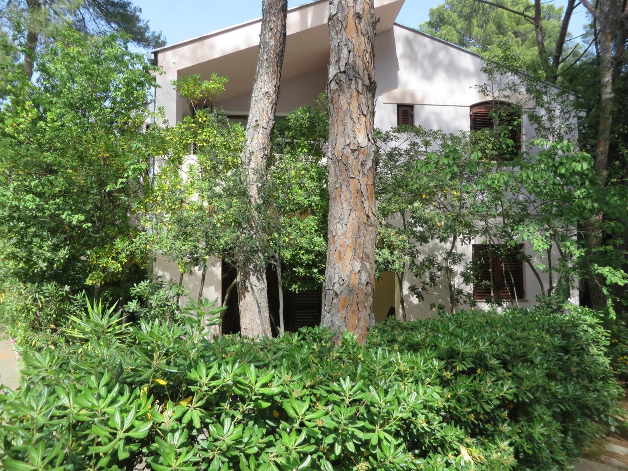 Soline Beach Apartments Biograd Na Moru Habitación foto